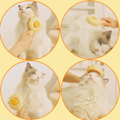 Pet Grooming Hair Brush